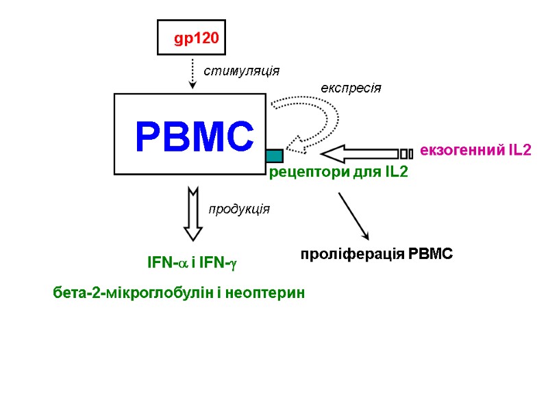 PBMC gp120 стимуляція IFN- і IFN- продукція бета-2-мікроглобулін і неоптерин експресія рецептори для IL2